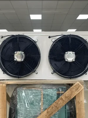 Dàn bay hơi: DD12-3HP