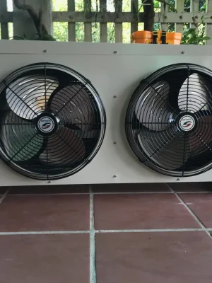 Dàn Lạnh Sung Jin